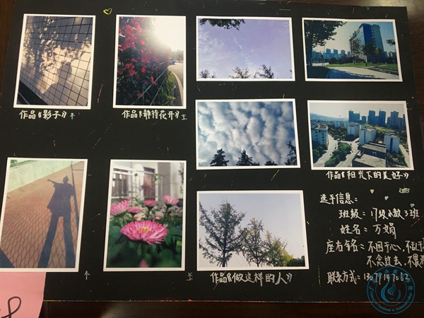 参赛作品